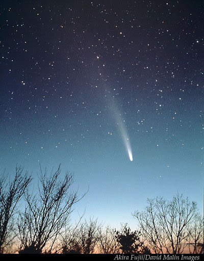 One April Comet and a Manned Moon Flight Emergency
